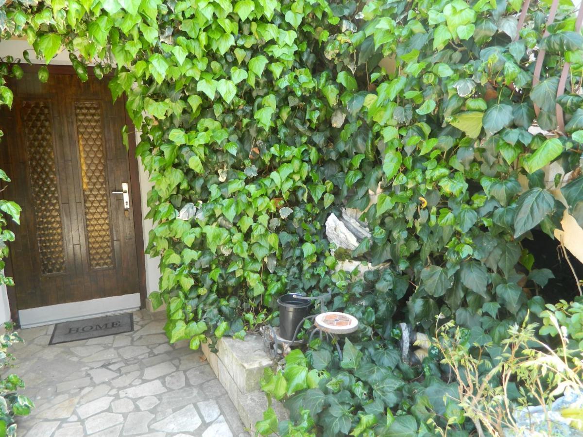 Apartment Vanda Poreč