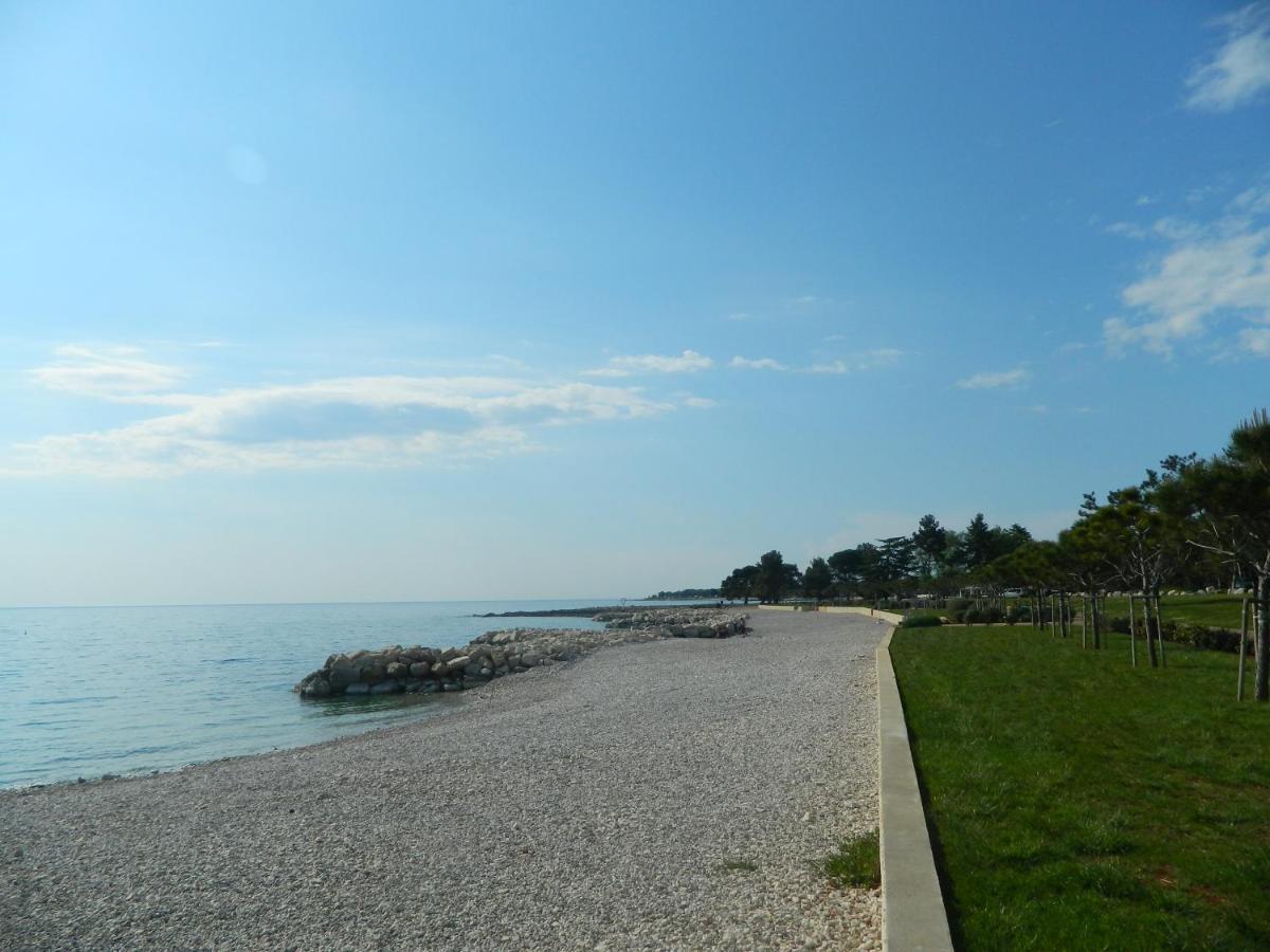 Vanda * Poreč