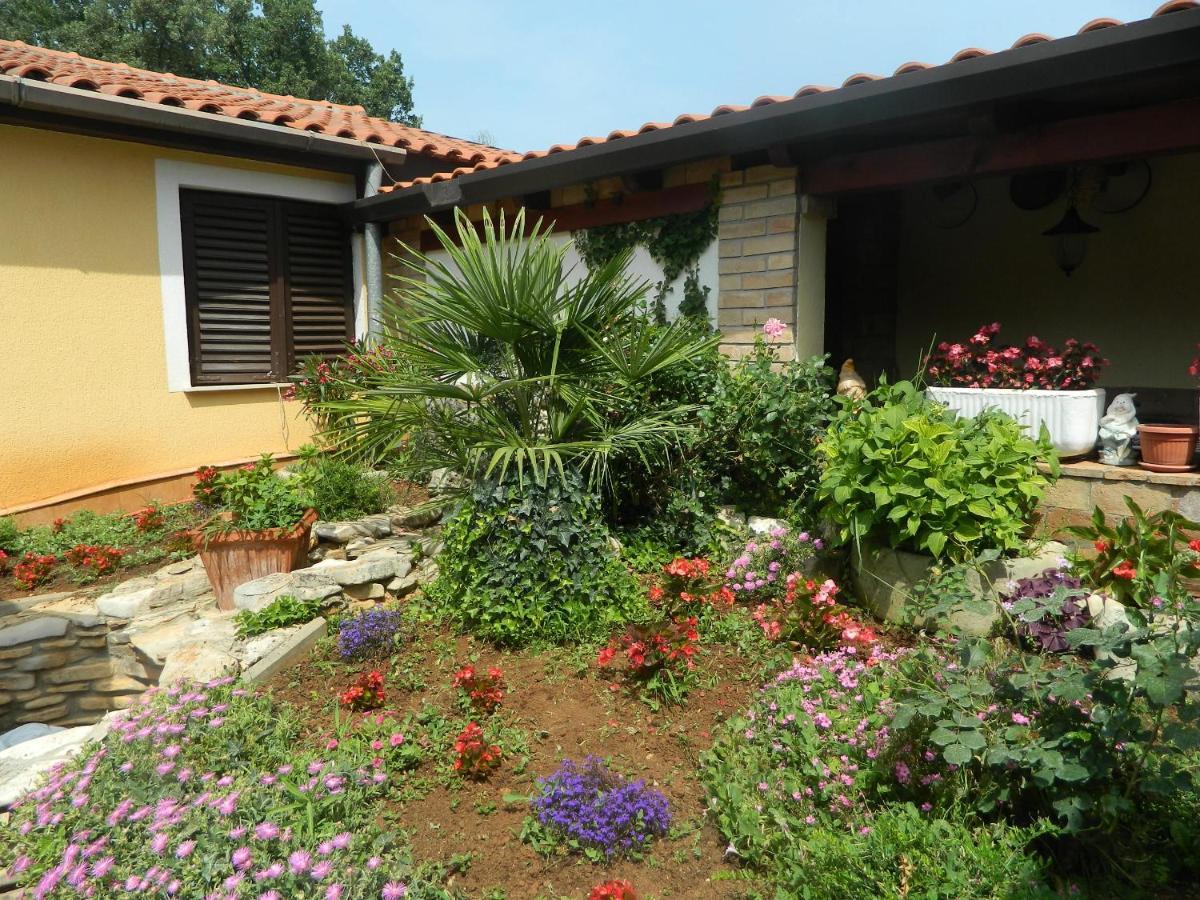 Vanda * Poreč